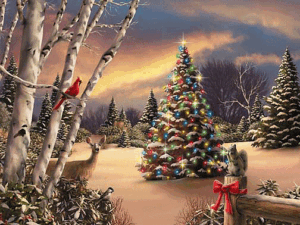 Bridgen tijdens de Kerstvakantie